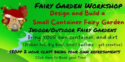 fairy container garden workshop